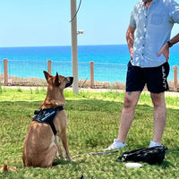 Dog Accessory – Harness Vest Patch