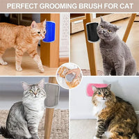 Cat Accessory – Scratcher Massage Comb