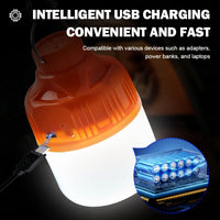 Outdoor USB Accessory – Rechargeable LED Lamp