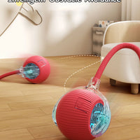 Cat Accessory – Interactive Ball Toy