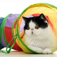 Collapsible Cat Tunnel – Crinkle Play Tube with Dangling Ball Toy