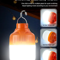 Outdoor USB Accessory – Rechargeable LED Lamp