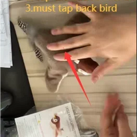 Hot Simulated Bird Cat Accessory – Toy Interactive Toys