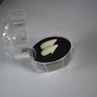 Adhesive Party Decor