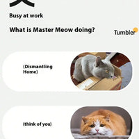 Cat Accessory – Hunting Toy Set