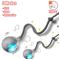 Cat Accessory – Interactive Ball Toy