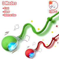 Cat Accessory – Interactive Ball Toy