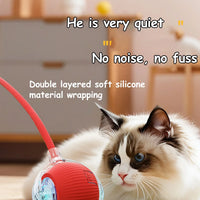 Cat Accessory – Interactive Ball Toy