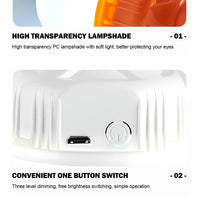Outdoor USB Accessory – Rechargeable LED Lamp