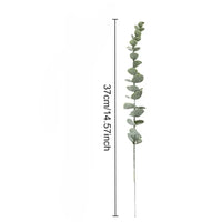 Rustic Plants Wedding