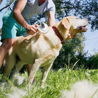 Pet Dog Accessory – Brush Cat Comb