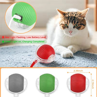 Cat Accessory – Interactive Ball Toy