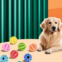 Pet Dog Accessory – Leakage Toy Balls