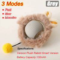 Cat Accessory – Interactive Ball Toy