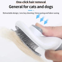 Pet Dog Accessory – Brush Cat Comb