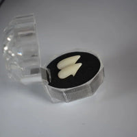 Adhesive Party Decor