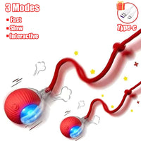 Cat Accessory – Interactive Ball Toy