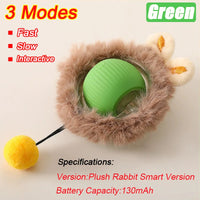 Cat Accessory – Interactive Ball Toy