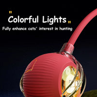 Cat Accessory – Interactive Ball Toy