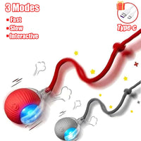 Cat Accessory – Interactive Ball Toy