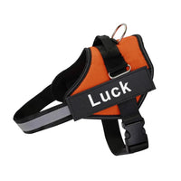 Dog Accessory – Harness Vest Patch