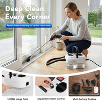 2500W High Temperature Steam Cleaner – 110V Portable Handheld