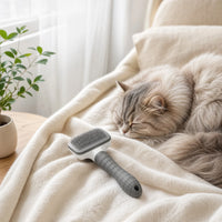 Universal Pet Detangling Brush – Massages Out Knots