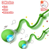 Cat Accessory – Interactive Ball Toy