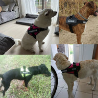 Dog Accessory – Harness Vest Patch