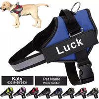 Dog Accessory – Harness Vest Patch