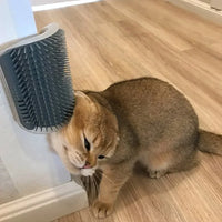 Cat Accessory – Scratcher Massage Comb