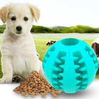 Pet Slow Feeder - Premium Best Pet Deal | Everyday Home Deal