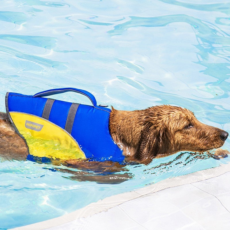 Pet Swimming Life Jacket | Everyday Home Deal