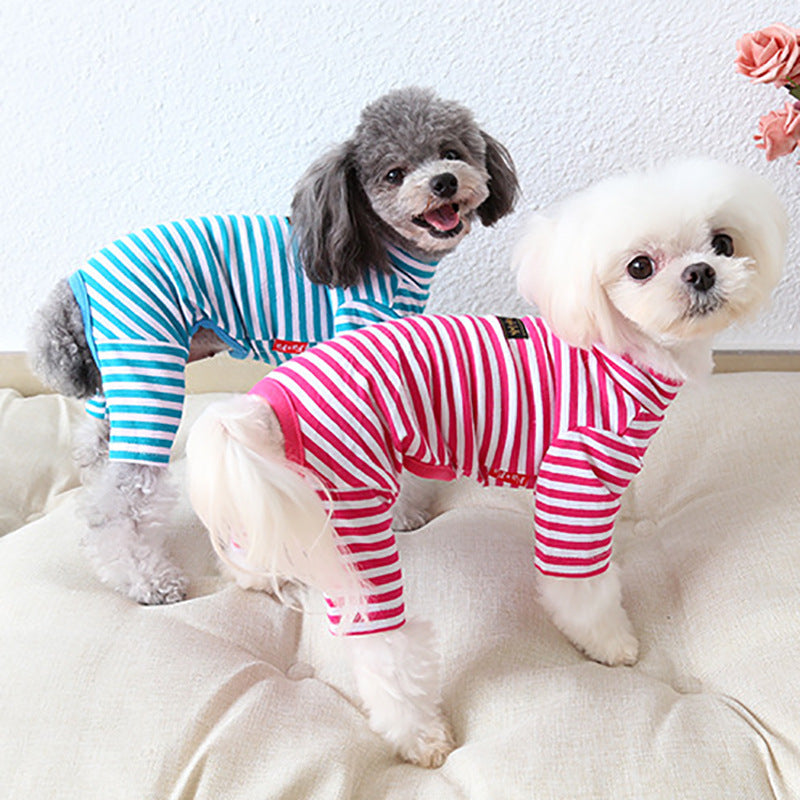 Pet Leggings | Everyday Home Deal