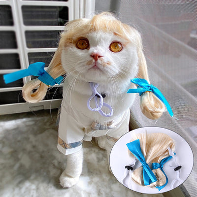 Pet Wig - Premium Best Clothing Deal | Everyday Home Deal