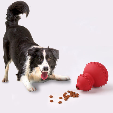 Best Pet Toy - Premium Pet Deal | Everyday Home Deal