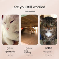 Pet Selfie Clip for Smartphones – Cat & Dog Camera Attention Toy