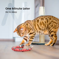 Tricky Interactive Sleeping Electric Induction Snake Toys