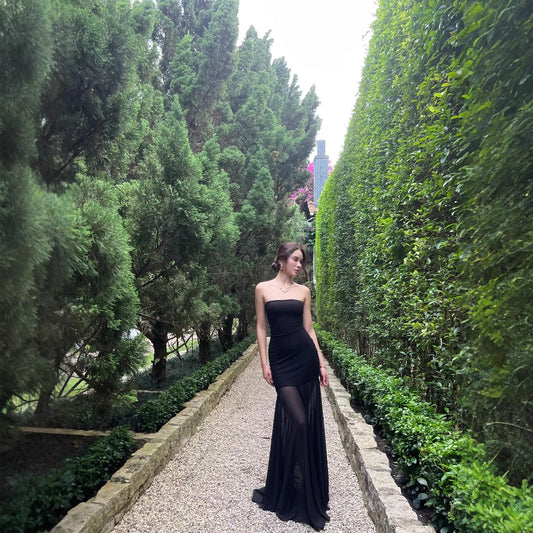 Mesh Dress - Premium Best Dress Deal | Everyday Home Deal
