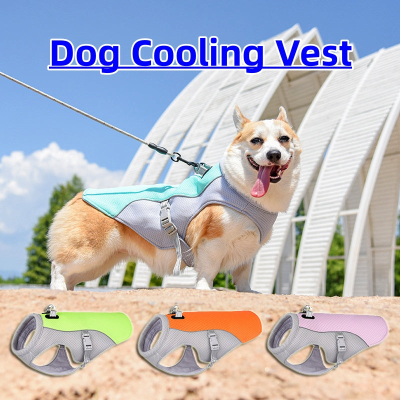 Dog Cooling Vest | Everyday Home Deal