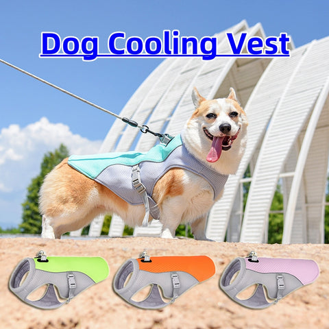 Dog Cooling Vest - Best Premium Pet Deal | Everyday Home Deal
