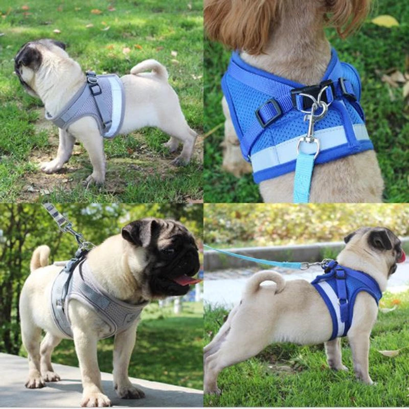Reflective Pet Harness | Everyday Home Deal