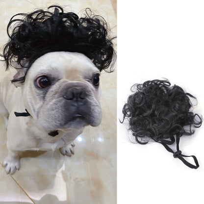 Pet Wig - Premium Best Clothing Deal | Everyday Home Deal