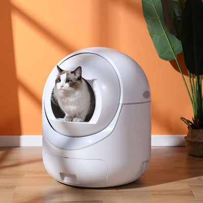 Automatic Cat Litter Box - Best Pet Deal | Everyday Home Deal