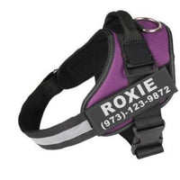Personalized Dog Harness No Pull Reflective Breathable Adjustable Pet Harness For Small Large Dog Harness Vest With Custom