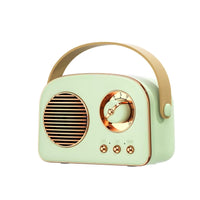 Mini Portable Karaoke Machine With Wireless Microphones