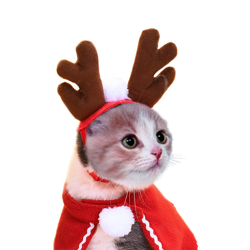 Cute Dog Cat Costume | Everyday Home Deal
