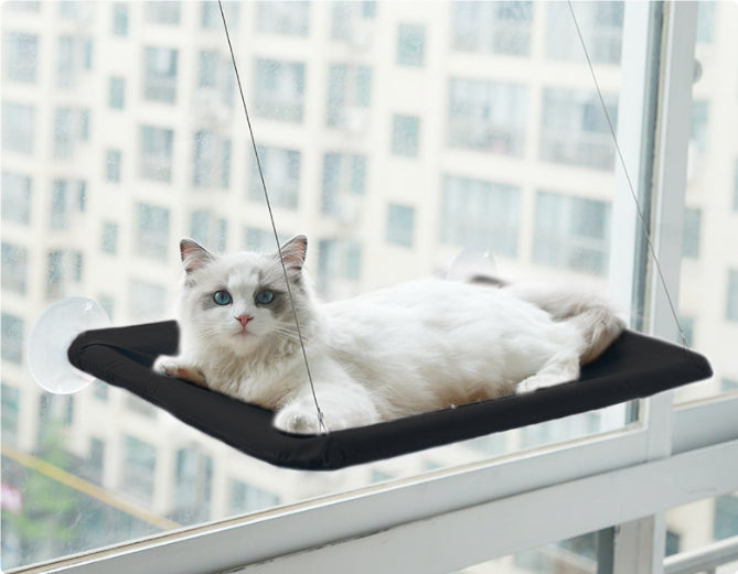 Cat Hammock | Everyday Home Deal