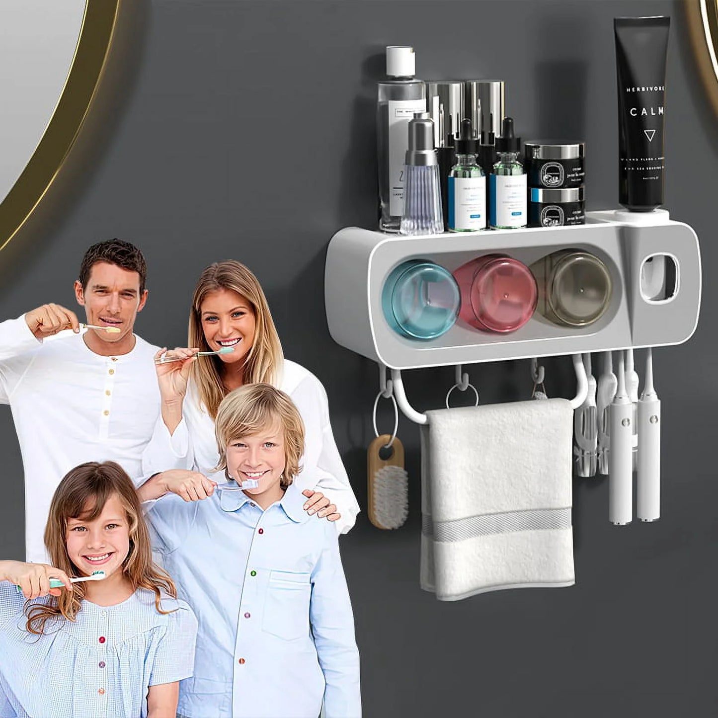 High Quality Wall Mounted Toothbrush Holders