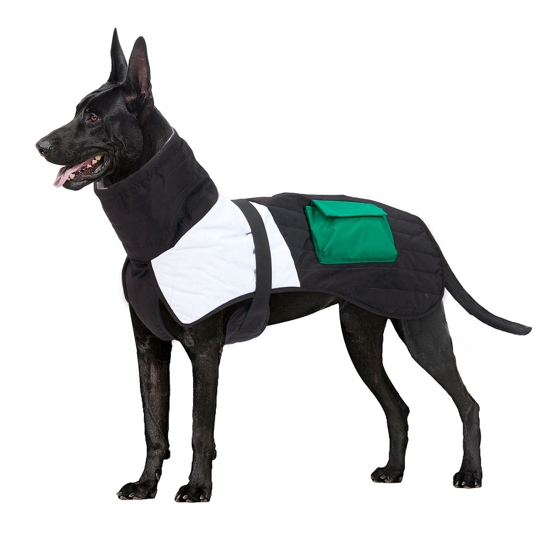 Winter Dog Coat | Everyday Home Deal
